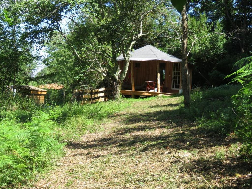 Tente Suspendue Au Coeur De La Foret Sainte-Croix-Volvestre Exterior foto